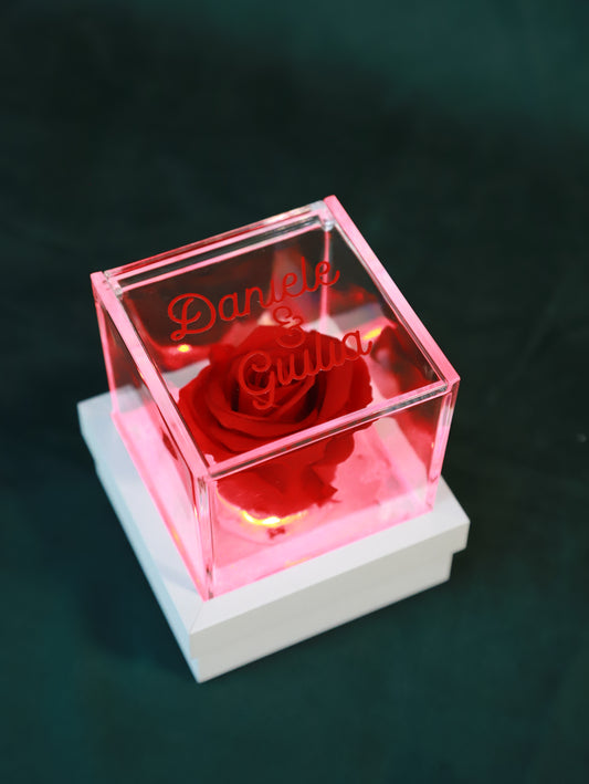 Rosa stabilizzata personalizzabile